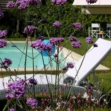 Affitti Brevi Toscana - Charme Apartment *